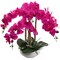 3-Pack 20" Fuchsia Phalaenopsis Orchids | Artificial Flowers in Sleek Round White Pots – Vibrant Modern Home & Office Decor